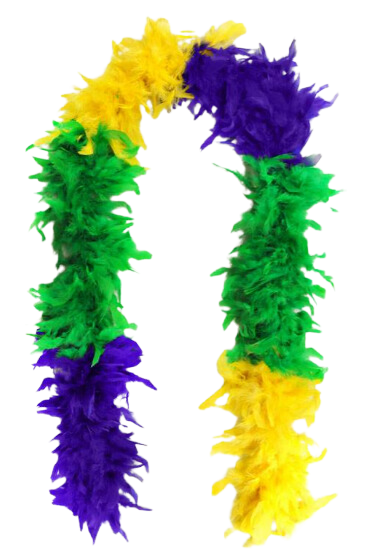 Mardi Gras Boa - Box Of Care
